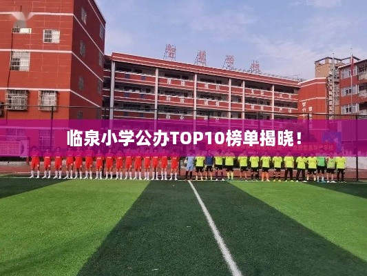 臨泉小學公辦TOP10榜單揭曉！