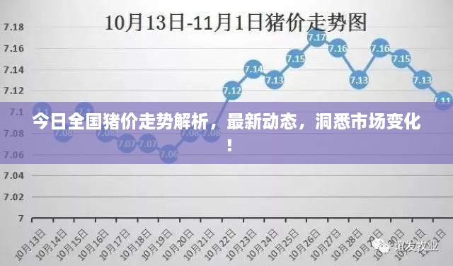 今日全國豬價走勢解析，最新動態(tài)，洞悉市場變化！