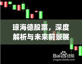 瓊海德股票，深度解析與未來前景展望