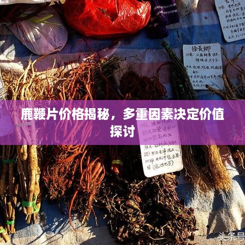 鹿鞭片價格揭秘，多重因素決定價值探討