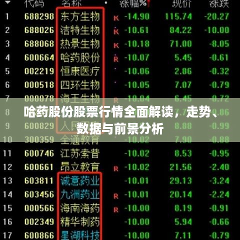 哈藥股份股票行情全面解讀，走勢、數(shù)據(jù)與前景分析