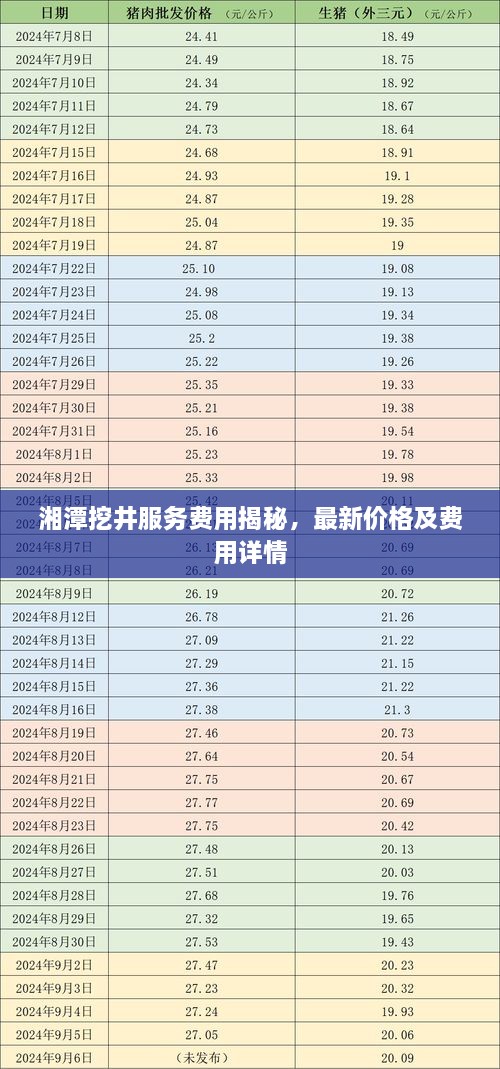 湘潭挖井服務(wù)費用揭秘，最新價格及費用詳情