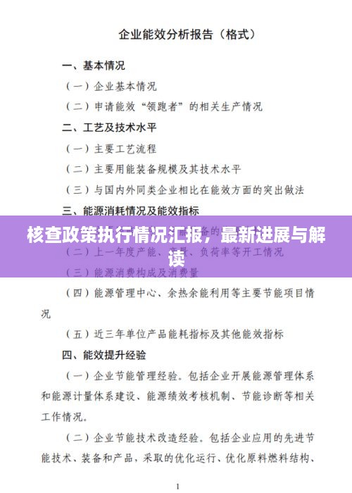 核查政策執(zhí)行情況匯報(bào)，最新進(jìn)展與解讀