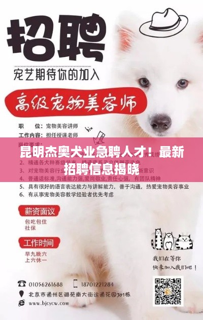 昆明杰奧犬業(yè)急聘人才！最新招聘信息揭曉