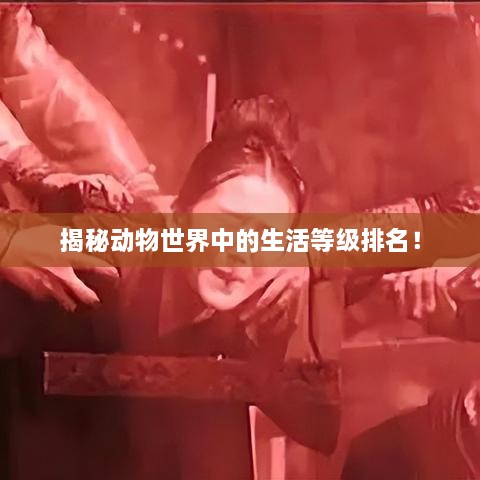 揭秘動(dòng)物世界中的生活等級(jí)排名！