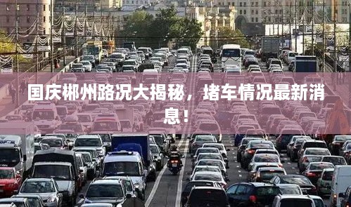 國慶郴州路況大揭秘，堵車情況最新消息！