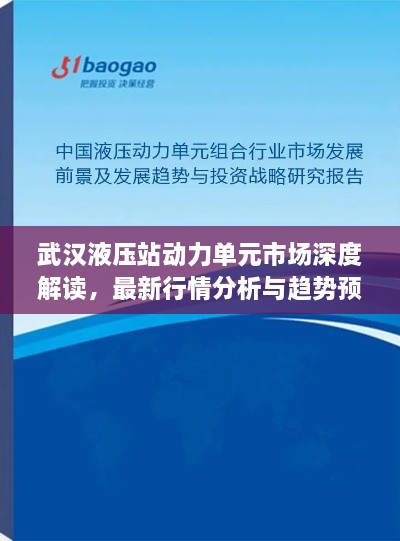 武漢液壓站動力單元市場深度解讀，最新行情分析與趨勢預(yù)測