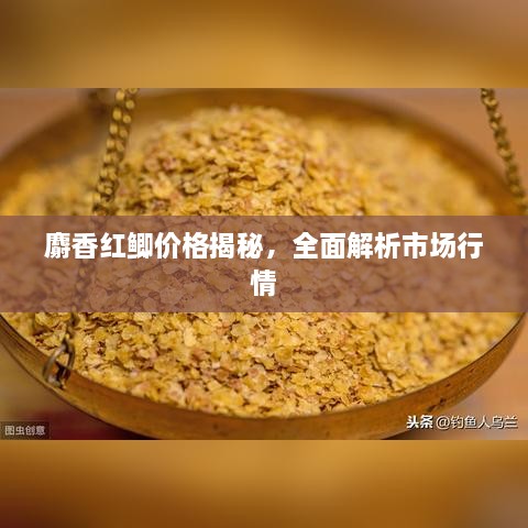 麝香紅鯽價(jià)格揭秘，全面解析市場行情