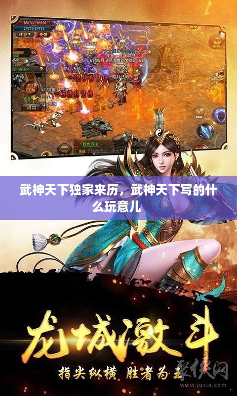 武神天下獨家來歷，武神天下寫的什么玩意兒 