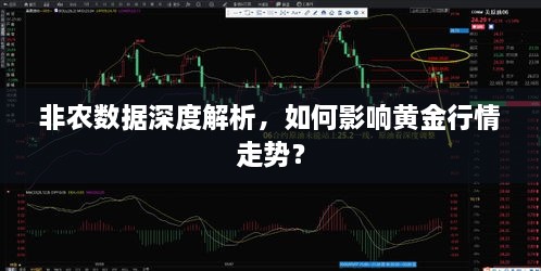 非農(nóng)數(shù)據(jù)深度解析，如何影響黃金行情走勢(shì)？