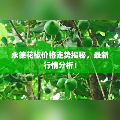 永德花椒價(jià)格走勢(shì)揭秘，最新行情分析！