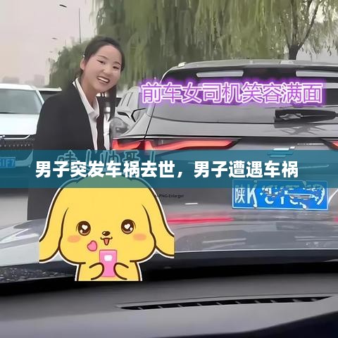 男子突發(fā)車禍去世，男子遭遇車禍 