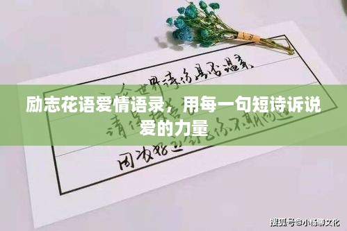 勵志花語愛情語錄，用每一句短詩訴說愛的力量