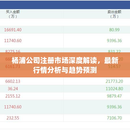 楊浦公司注冊市場深度解讀，最新行情分析與趨勢預(yù)測