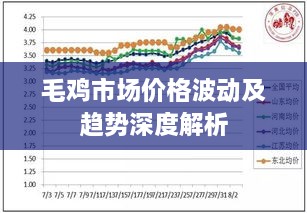 毛雞市場價(jià)格波動(dòng)及趨勢深度解析