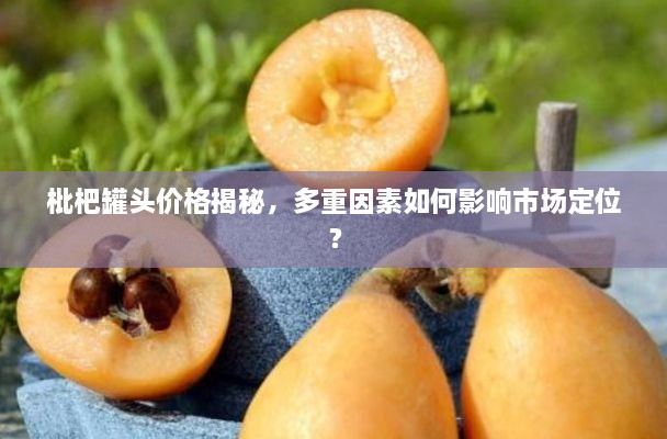 枇杷罐頭價(jià)格揭秘，多重因素如何影響市場定位？