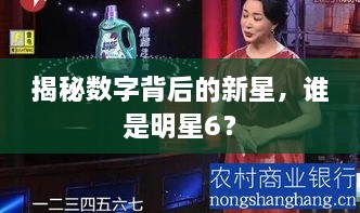 揭秘數(shù)字背后的新星，誰是明星6？