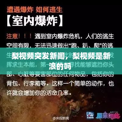 梨視頻突發(fā)新聞，梨視頻是新浪的嗎 