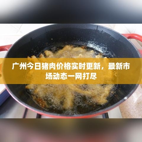 廣州今日豬肉價格實時更新，最新市場動態(tài)一網打盡